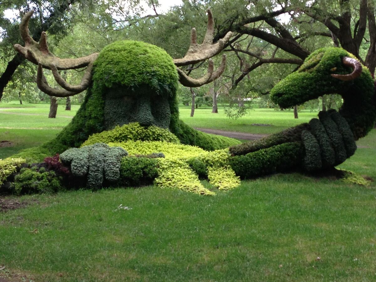 绿雕植物造型艺术