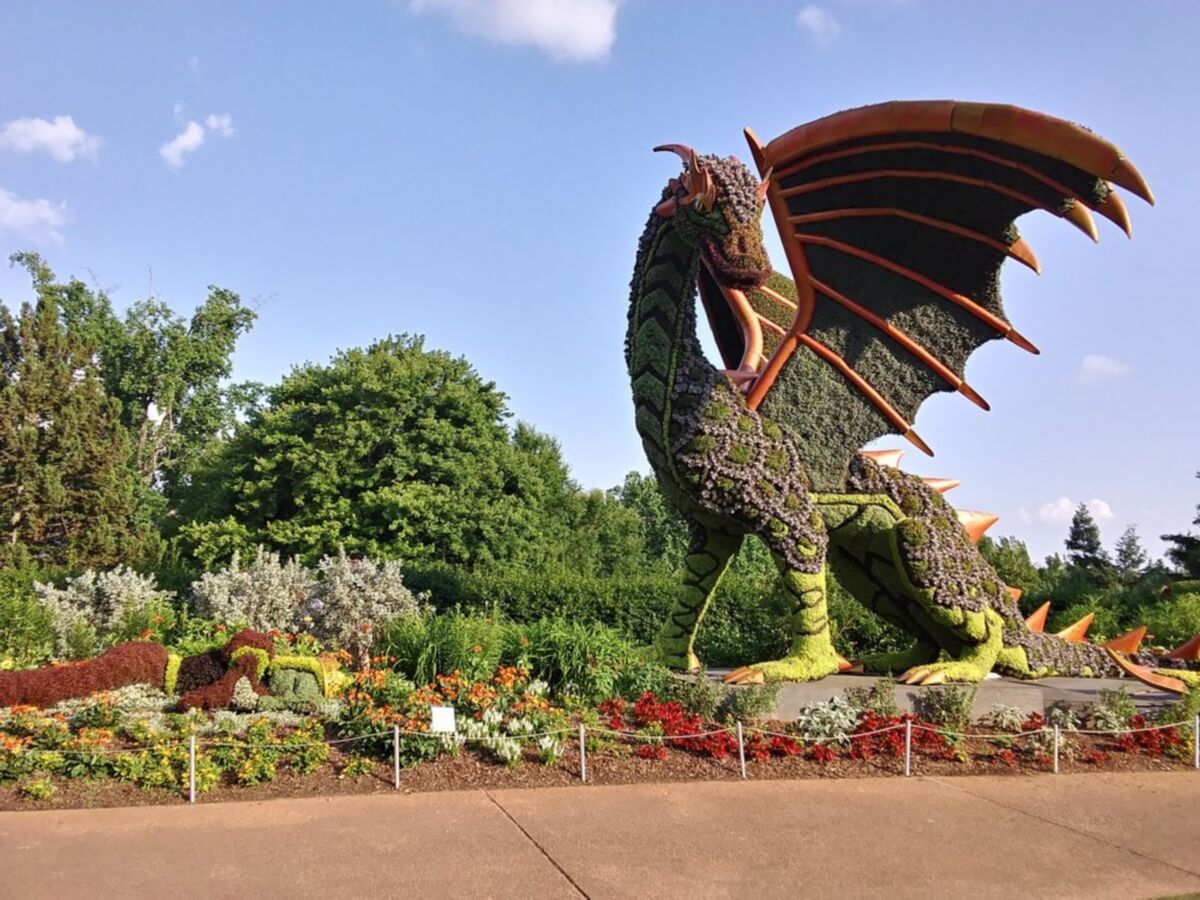 巨型龙形植物造型艺术（绿雕）