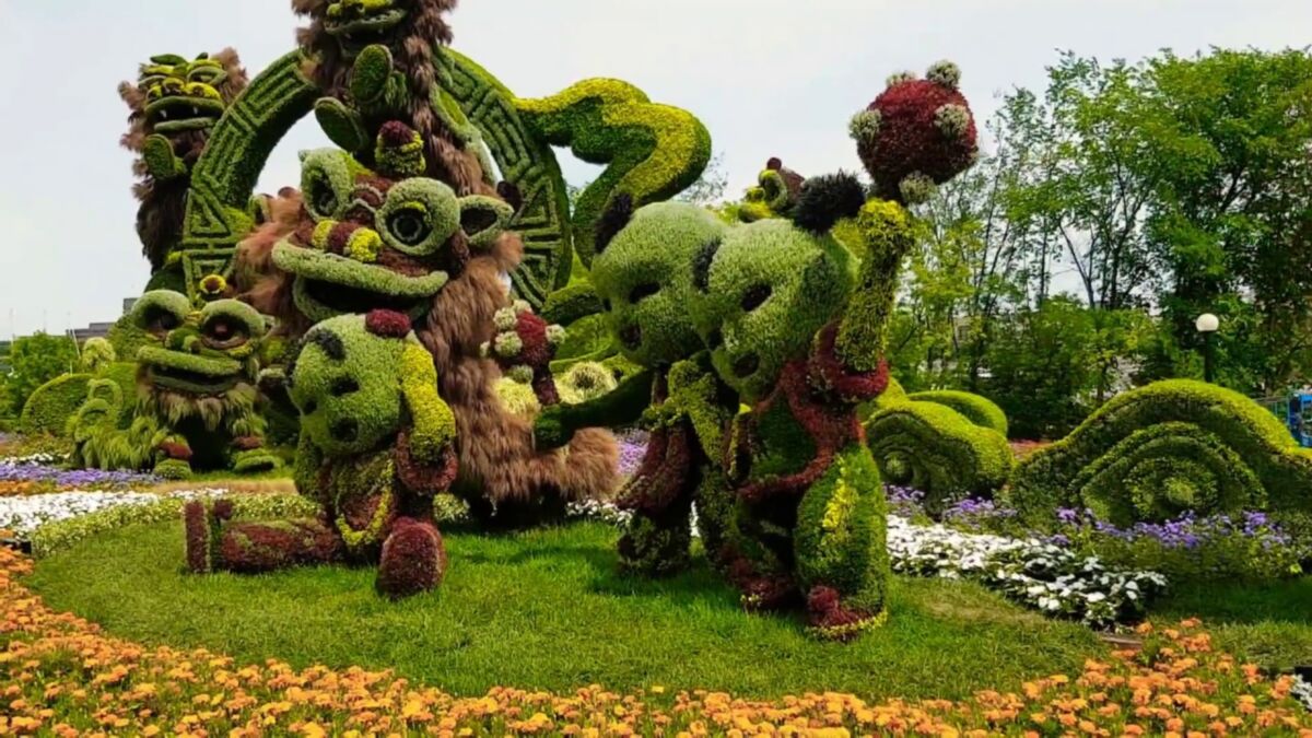 中国传统文化元素的植物造型艺术（绿雕）