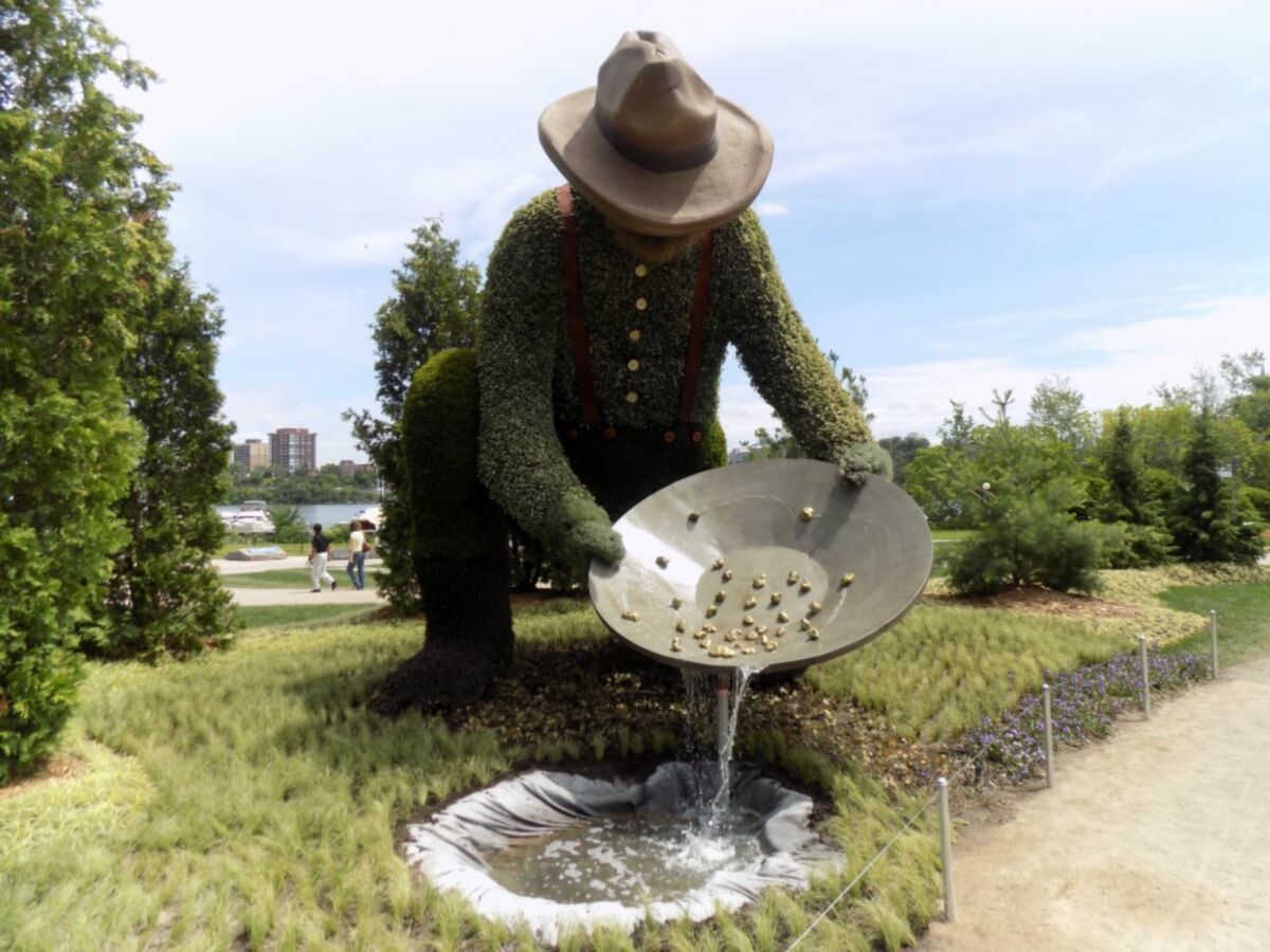 淘金者造型的植物艺术（绿雕）