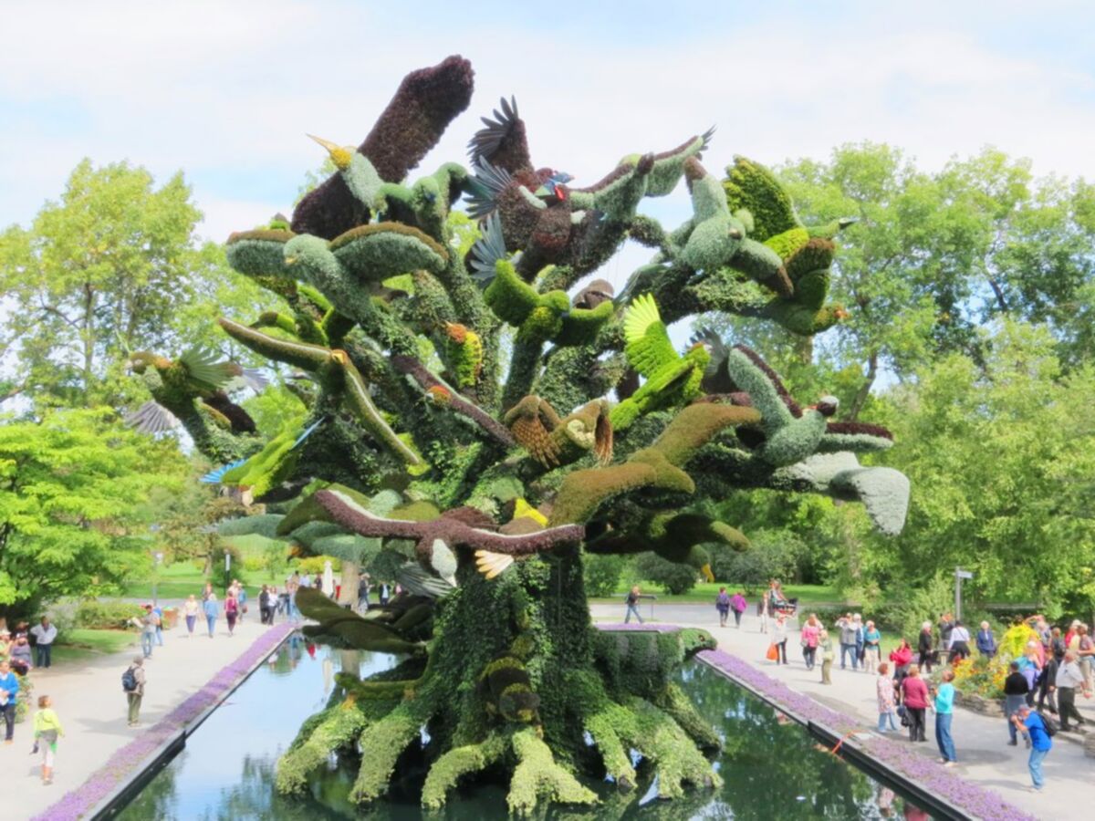 巨型植物造型艺术（绿雕）