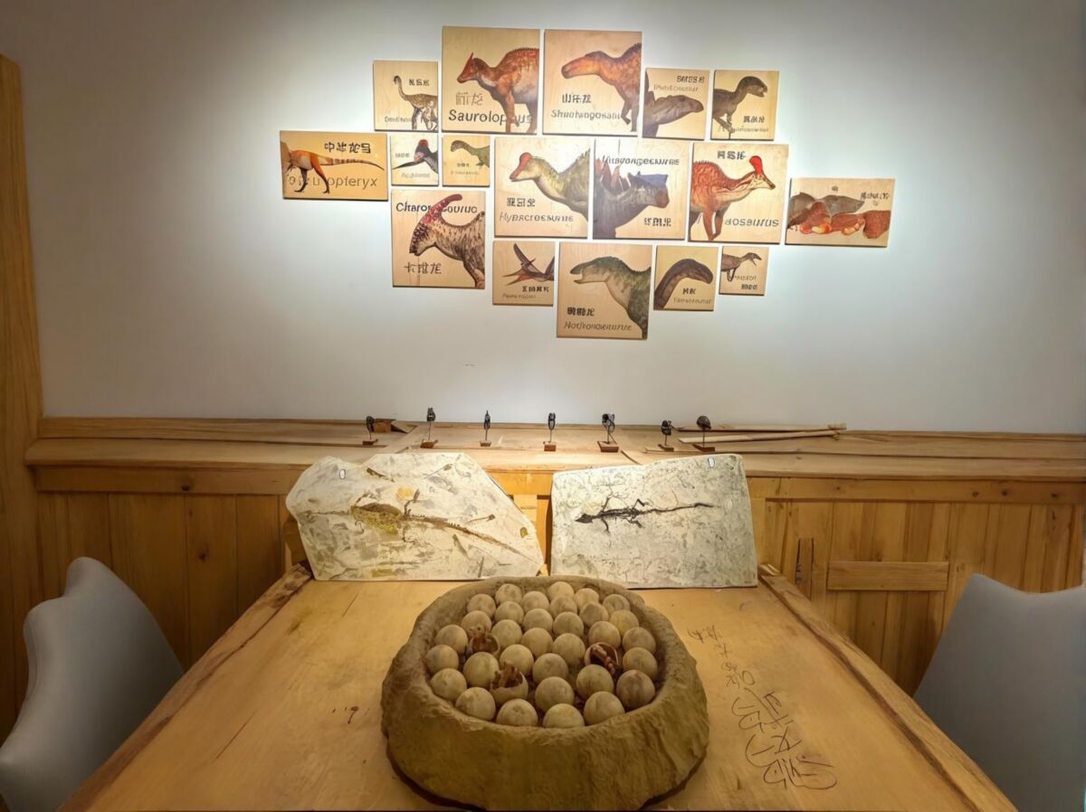 仿真恐龙科普展示空间