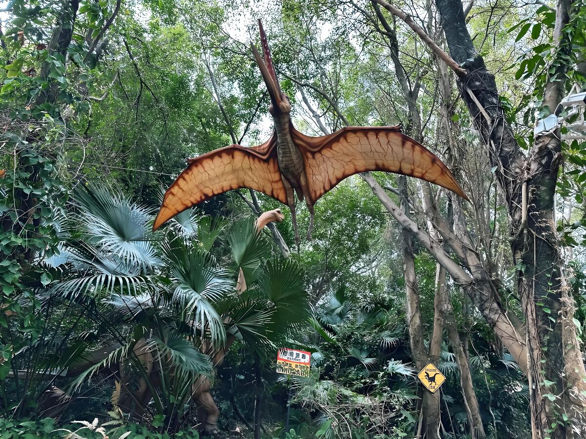 无齿翼龙仿真模型