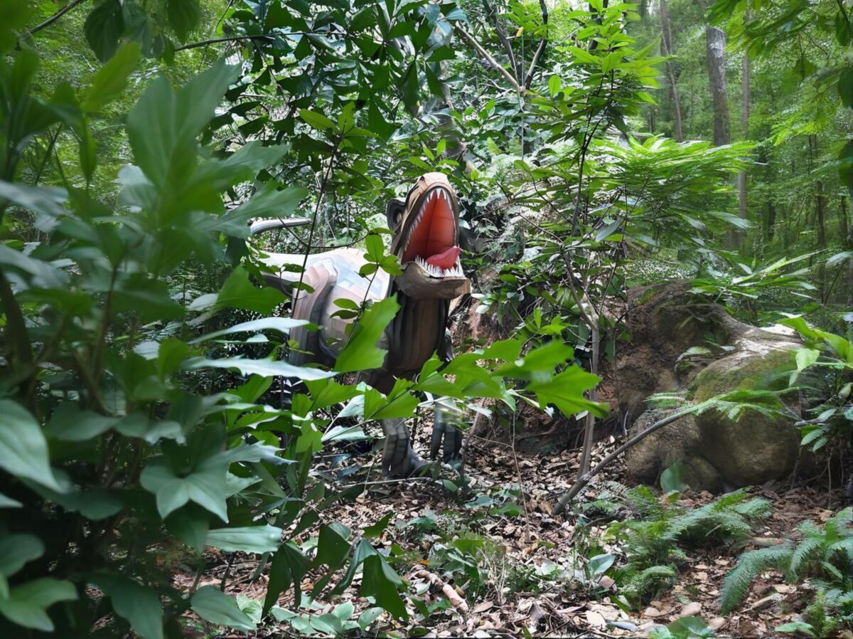 霸王龙仿真模型